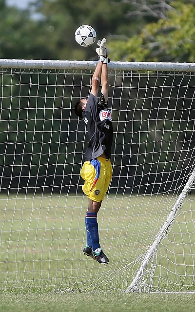 这种战术的 这种战术的