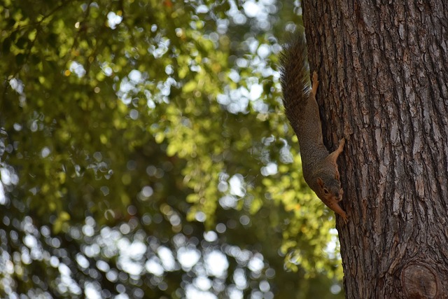 理解和协作 理解和协作