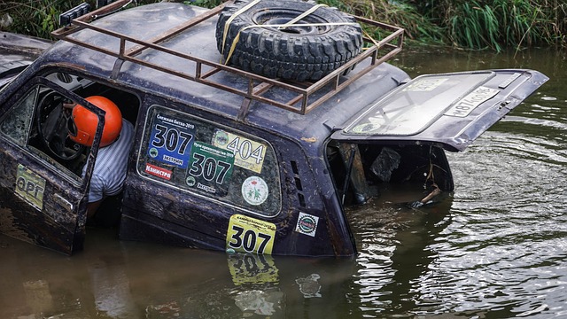 学校每年举 学校每年举
