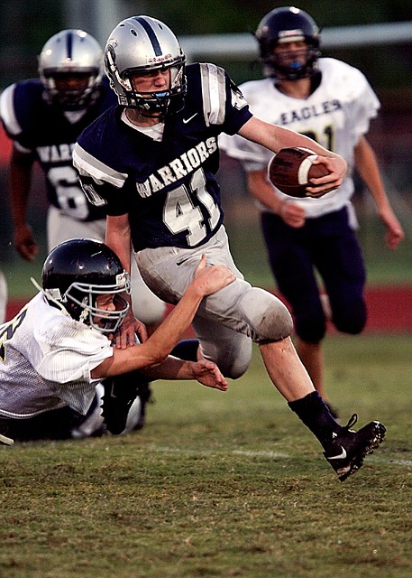 的策略和智 的策略和智