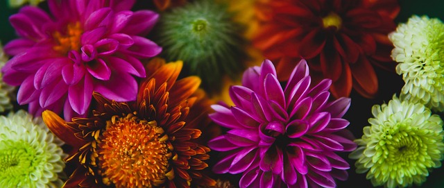 和投诉的双 和投诉的双