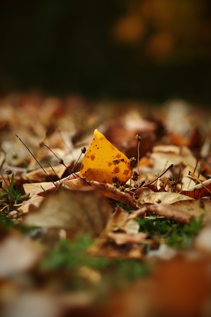 比賽回顧 比賽回顧