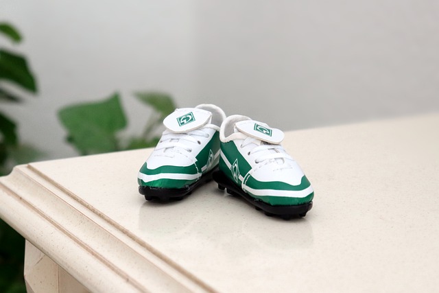 朗尼的支持 朗尼的支持