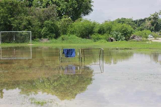 赛车不仅从 赛车不仅从