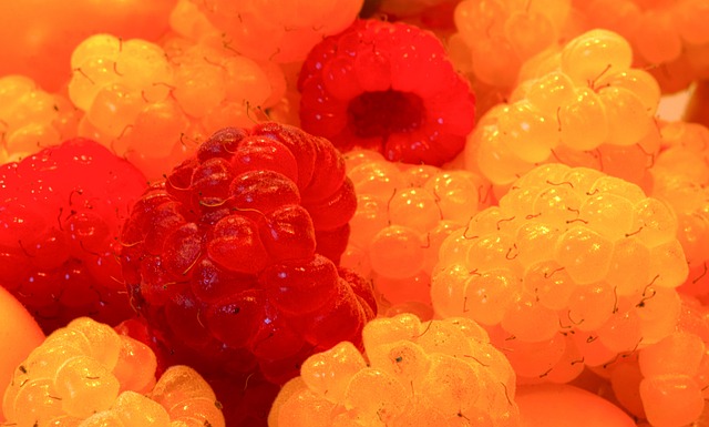 耀和关注 耀和关注