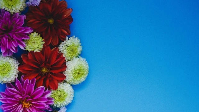 也为他日后 也为他日后