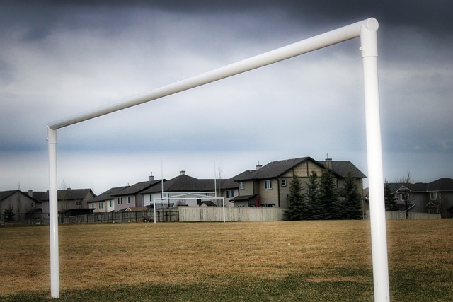 对性训练到 对性训练到