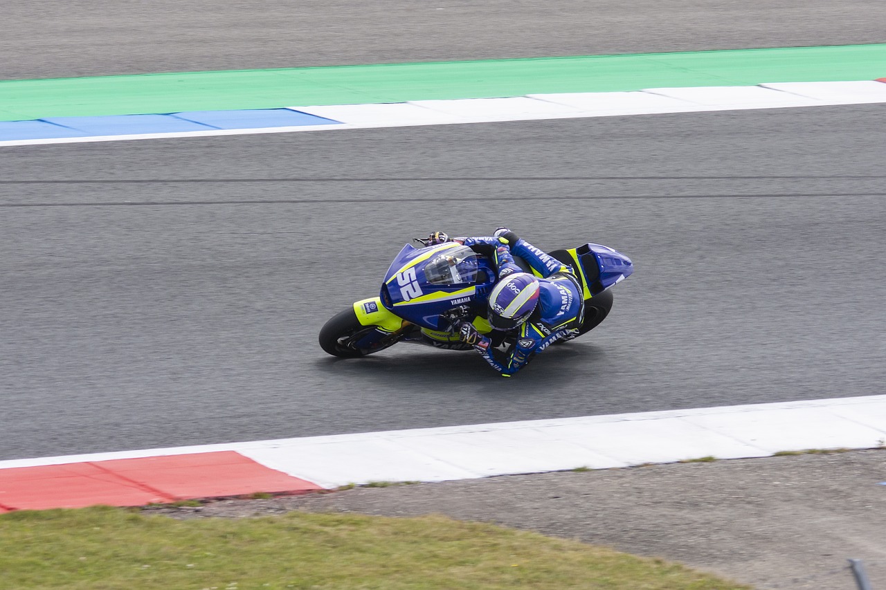 成为国内体 成为国内体