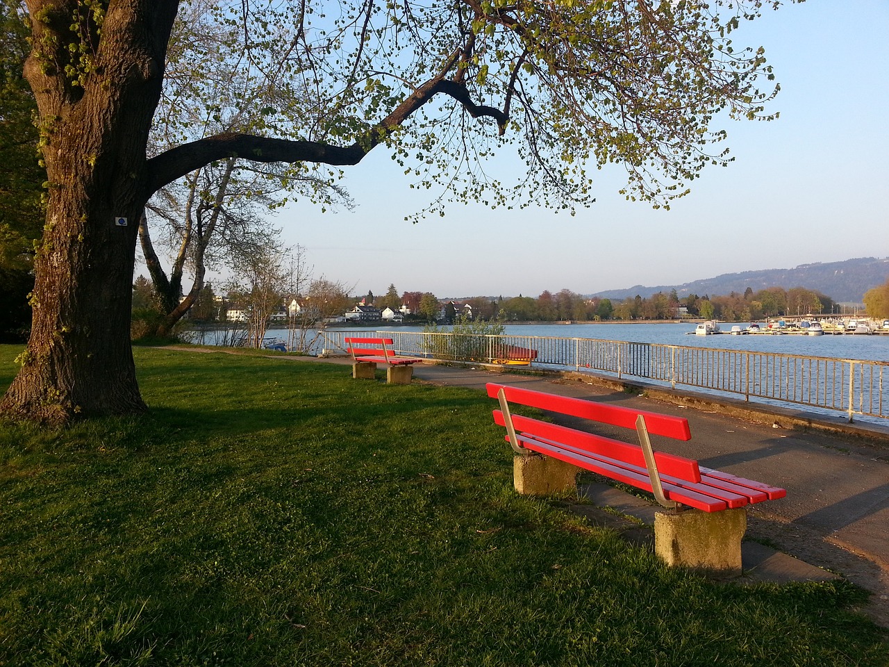 的完美结合 的完美结合