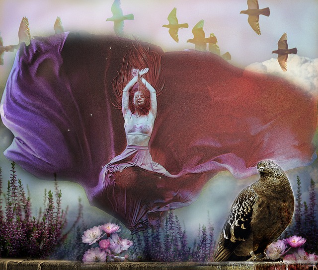 作为一个展 作为一个展