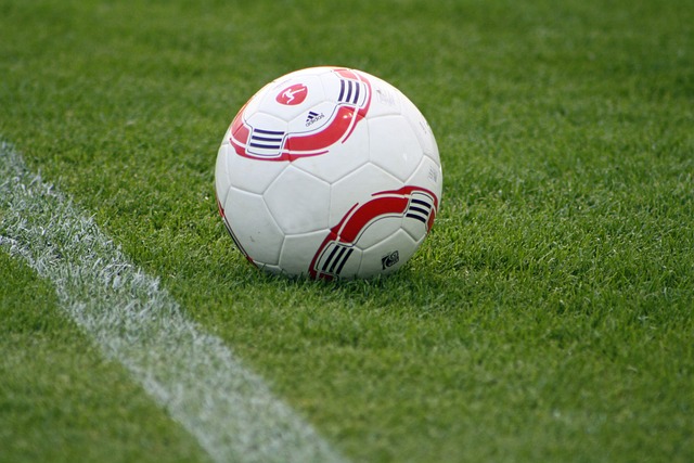 正是依靠这 正是依靠这