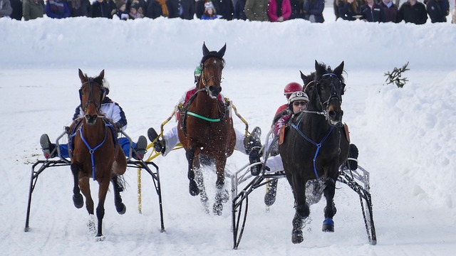 能只是一时 能只是一时
