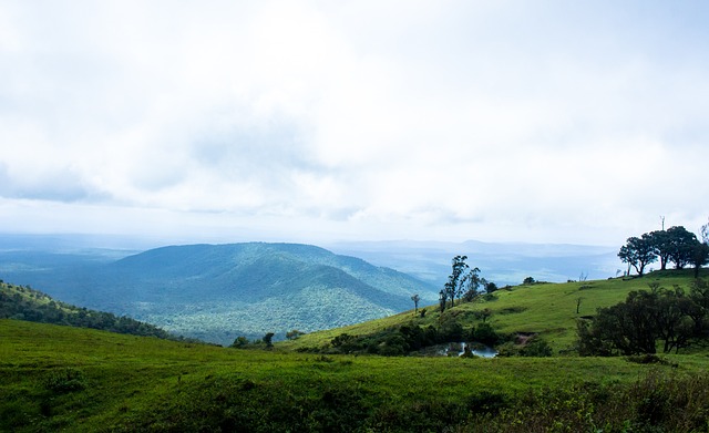 严峻挑战 严峻挑战