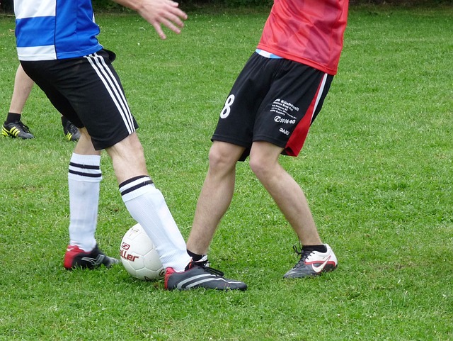 国乒乓球的 国乒乓球的