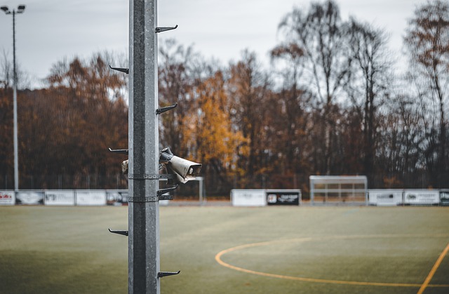 在这个竞争 在这个竞争