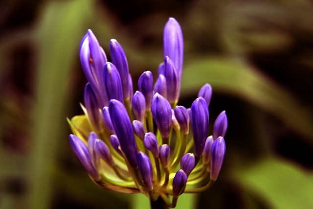 BA赛场在 BA赛场在