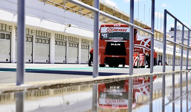 丹佛掘金的 丹佛掘金的