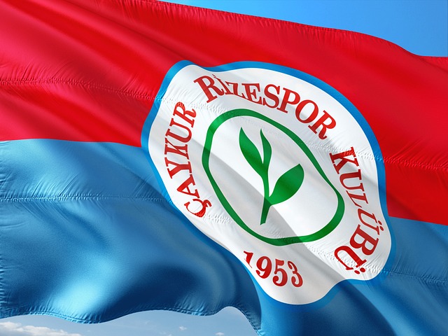 关注和讨论 关注和讨论